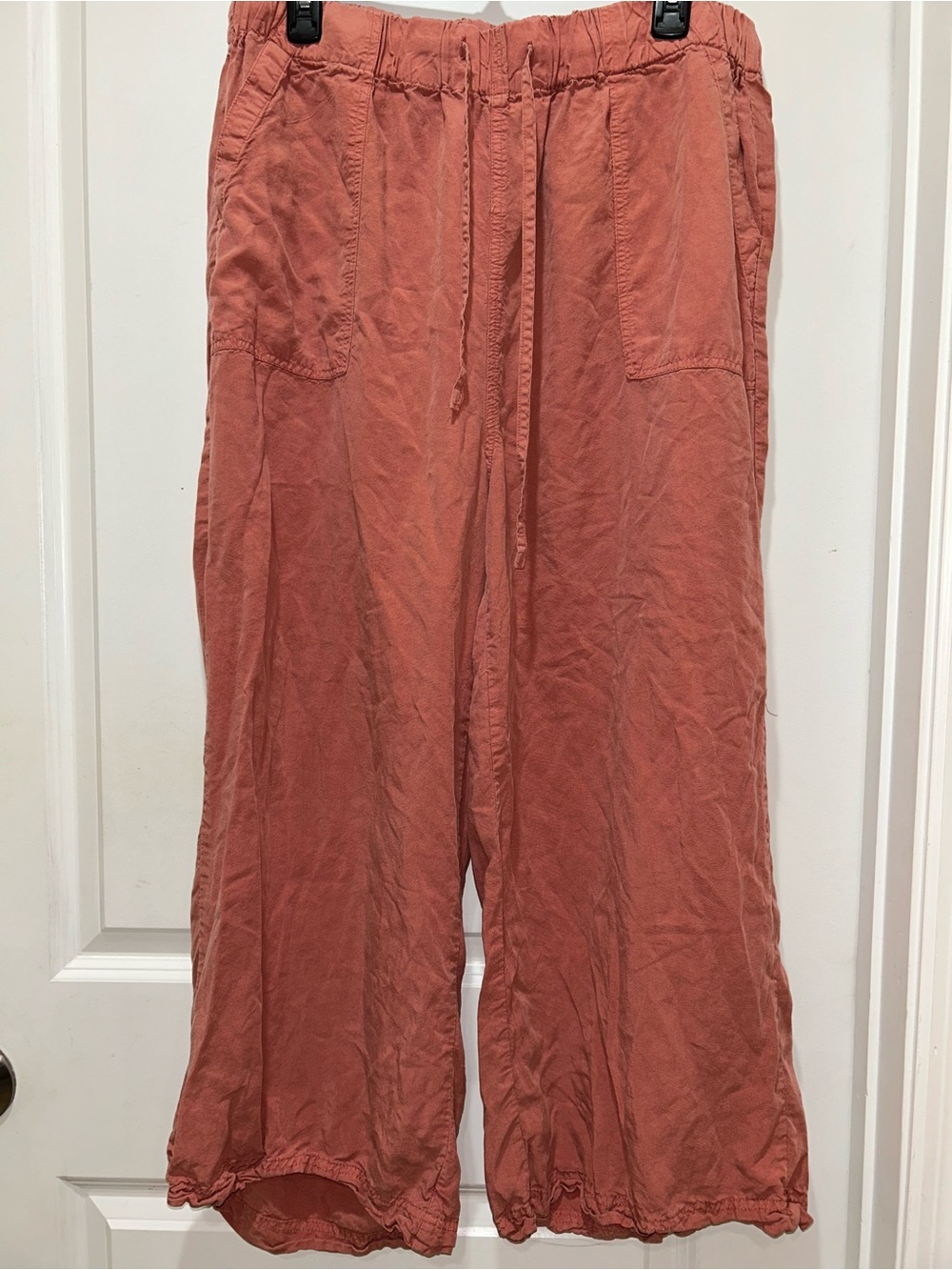 Thread & Supply Wide-Leg Drawstring Pants in Rust - Picture 3 of 4